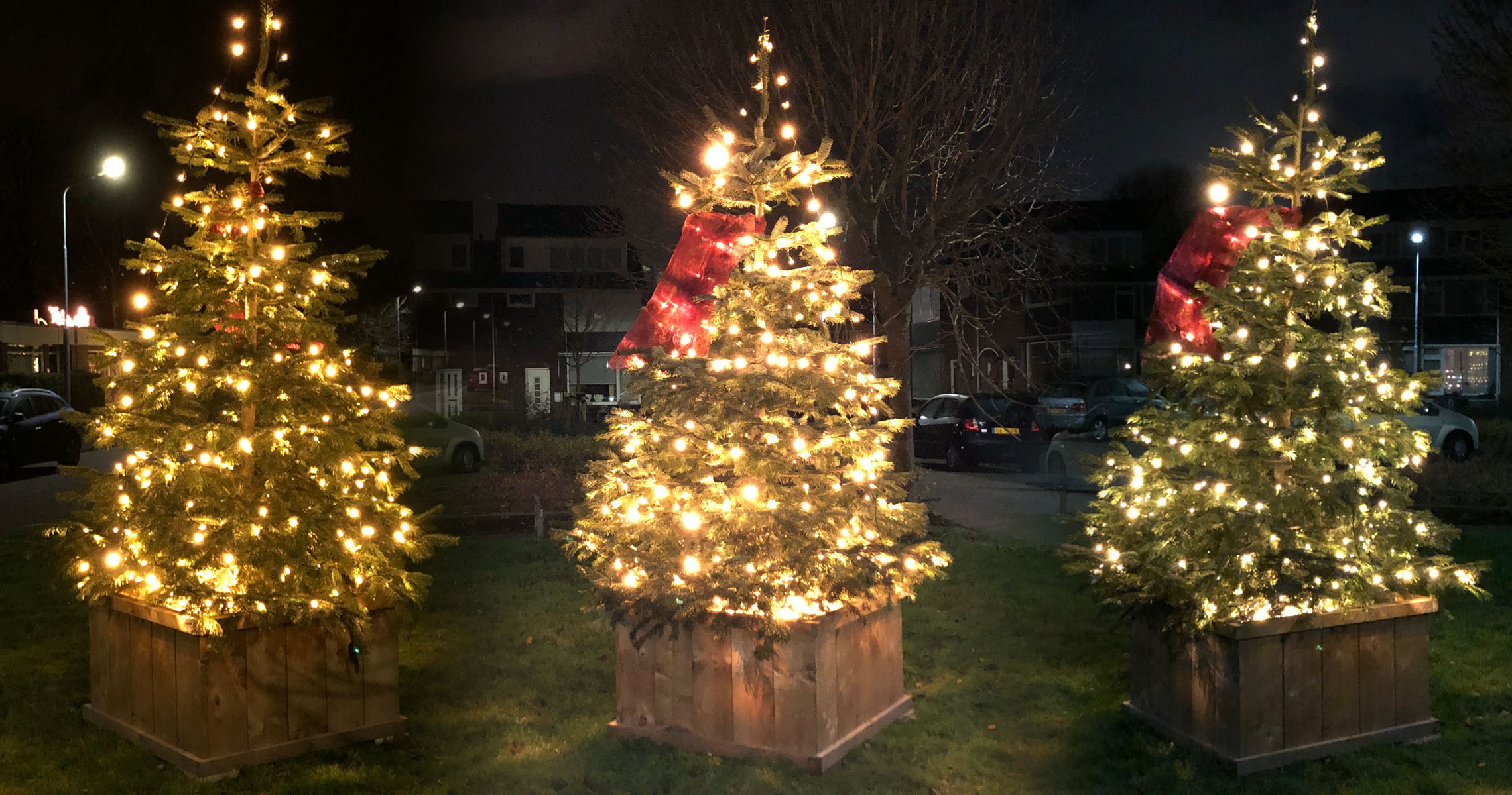 Kerstboom huren